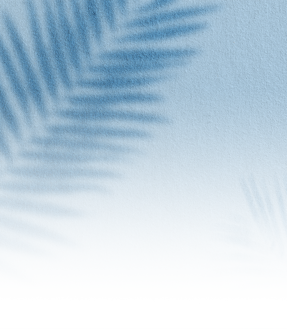 Palm leaf texture